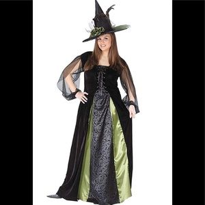 Goth Maiden Witch Plus Adult Halloween Costume